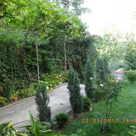 בית הארחה Sakutski House 2*