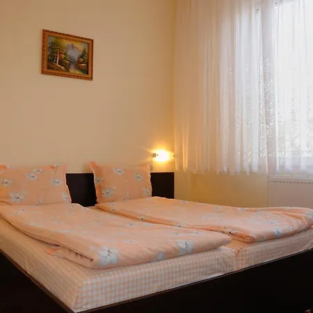 בית הארחה Sakutski House 2*