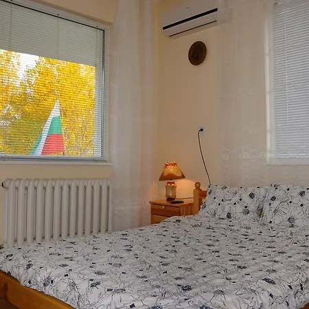 בית הארחה Sakutski House 2*