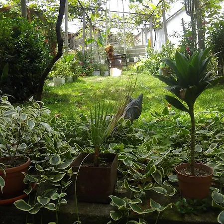 בית הארחה Sakutski House היסריה