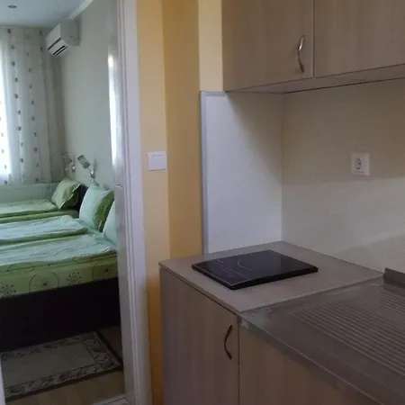 בית הארחה Sakutski House