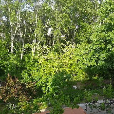 בית הארחה Sakutski House 2*