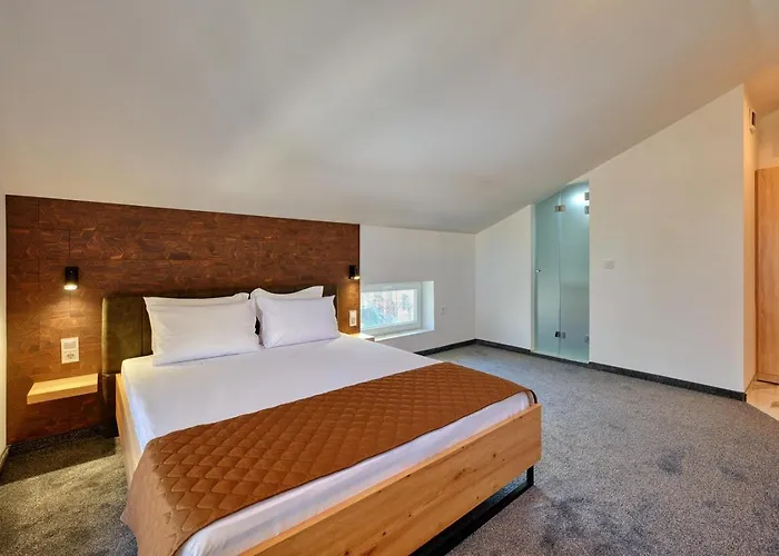 Pensionat Sakutski House Chisarja