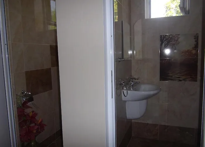 Sakutski House 2* Chisarja