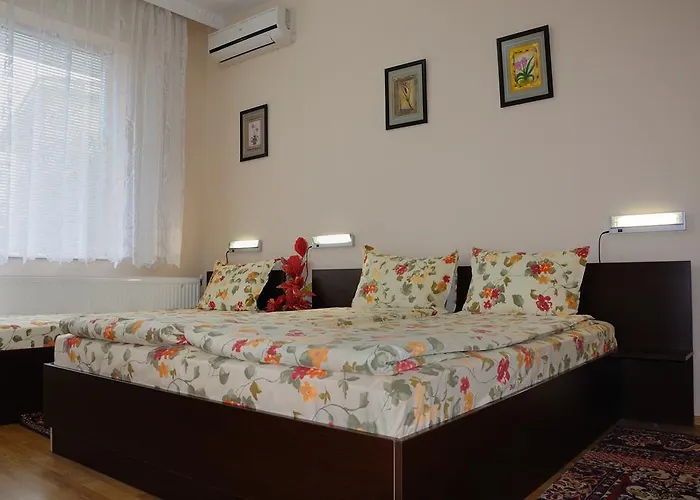 Sakutski House Pensionat 2*