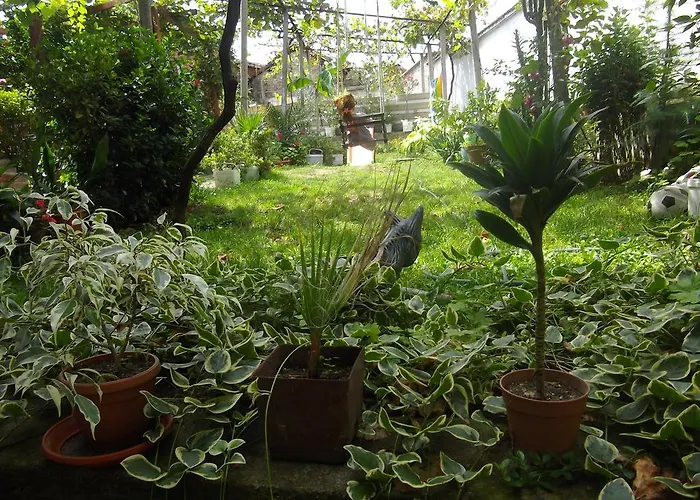 Pensionat Sakutski House Chisarja