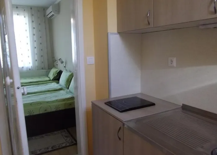 Pensionat Sakutski House