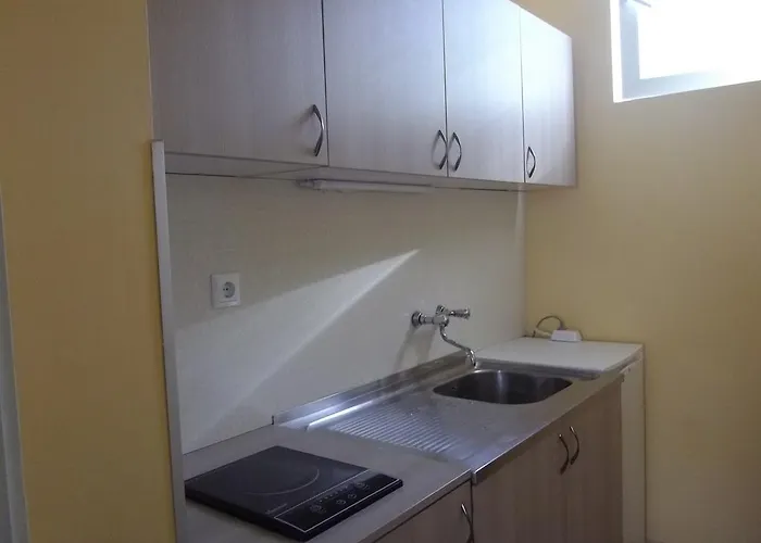 Pensionat Sakutski House 2*