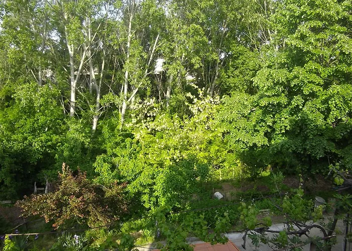 Pensionat Sakutski House 2*